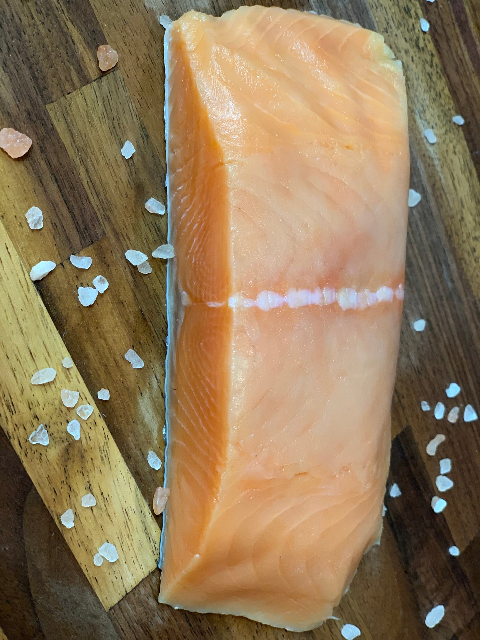 Winter King Salmon